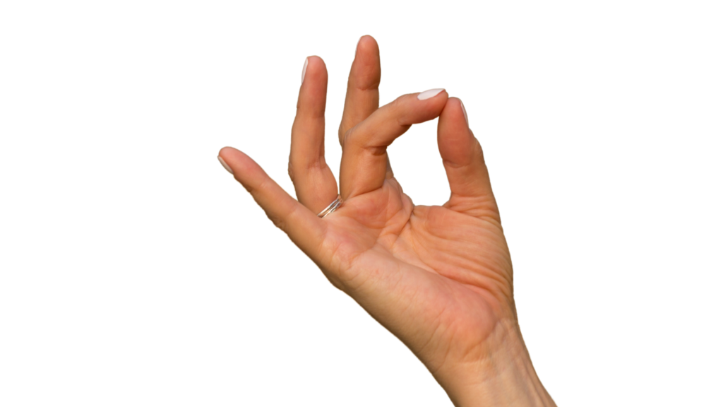 Shuni mudra